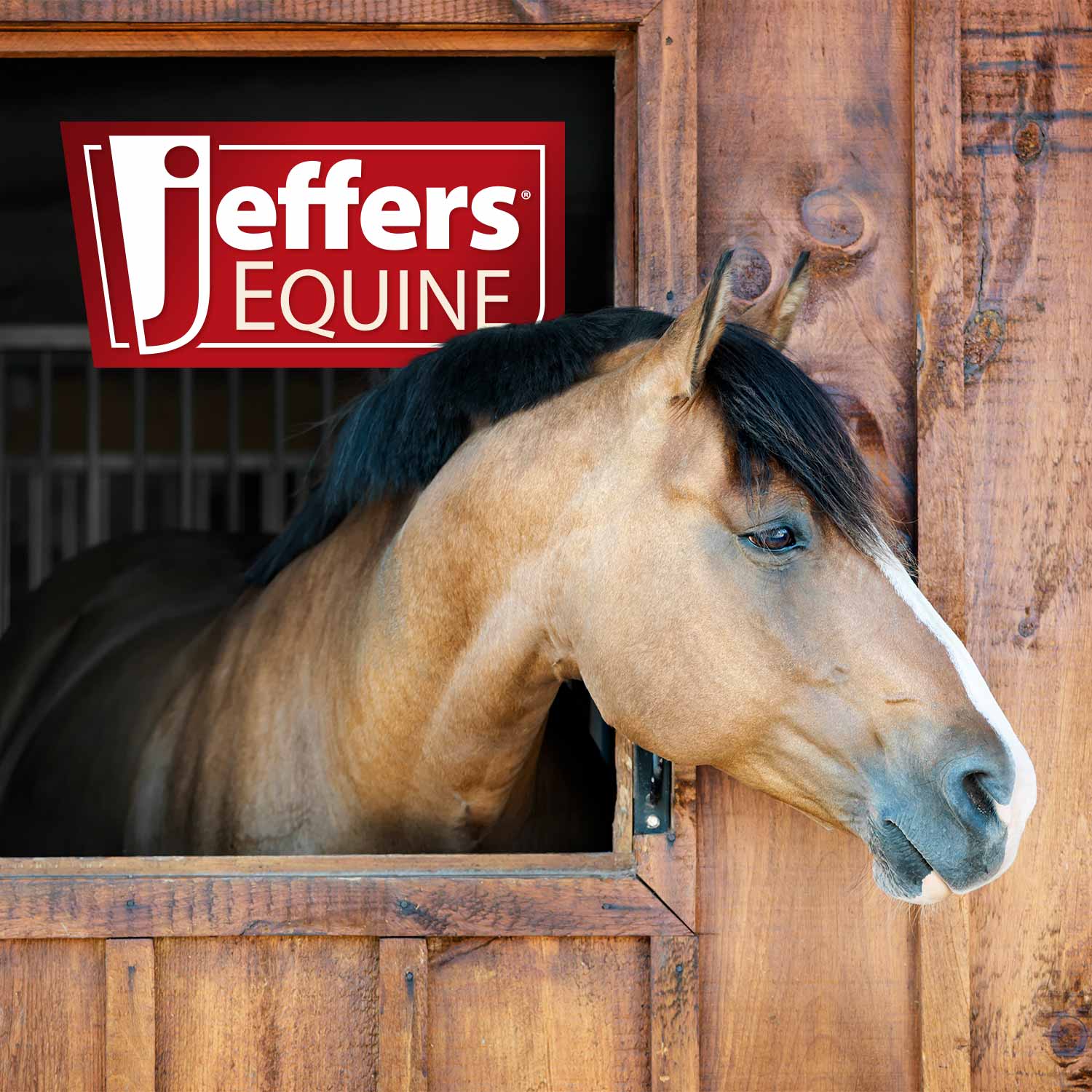 Jeffers Face and Finishing Brush - Image 6