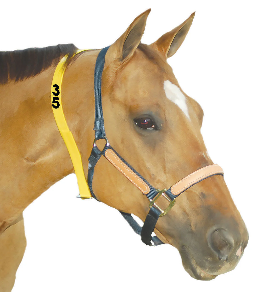 Mare ID Neck Strap - Numbered, Yellow - Image 3