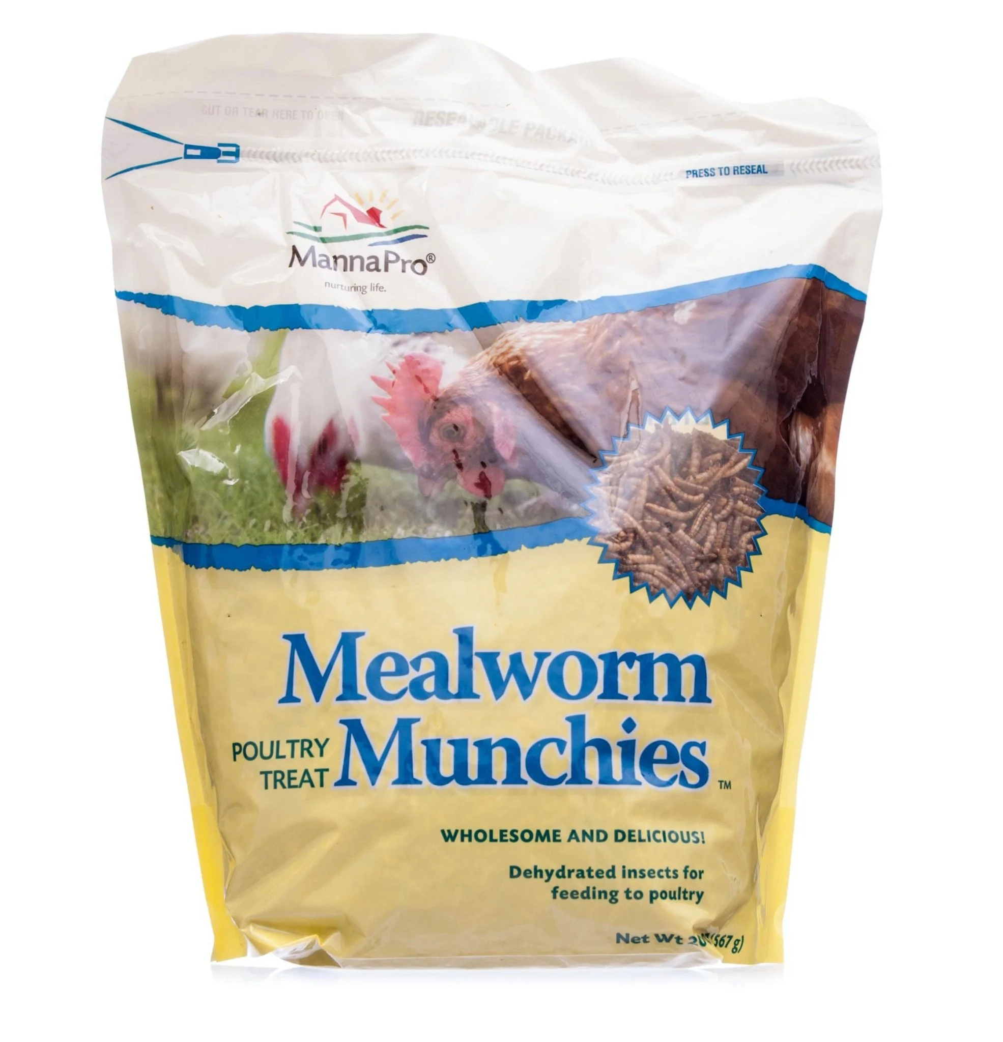 Mealworm Munchies - Image 3