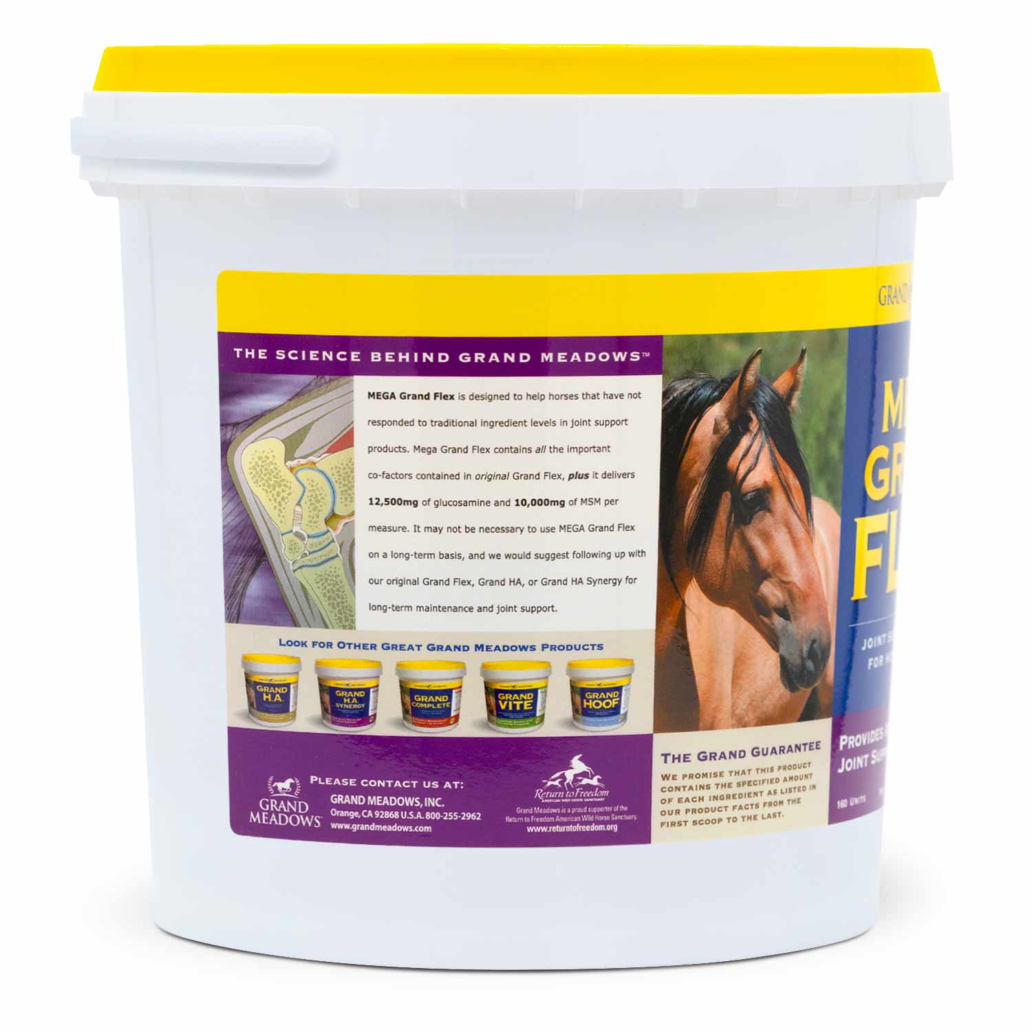 Mega Grand Flex Joint Supplement for Horses - Image 5