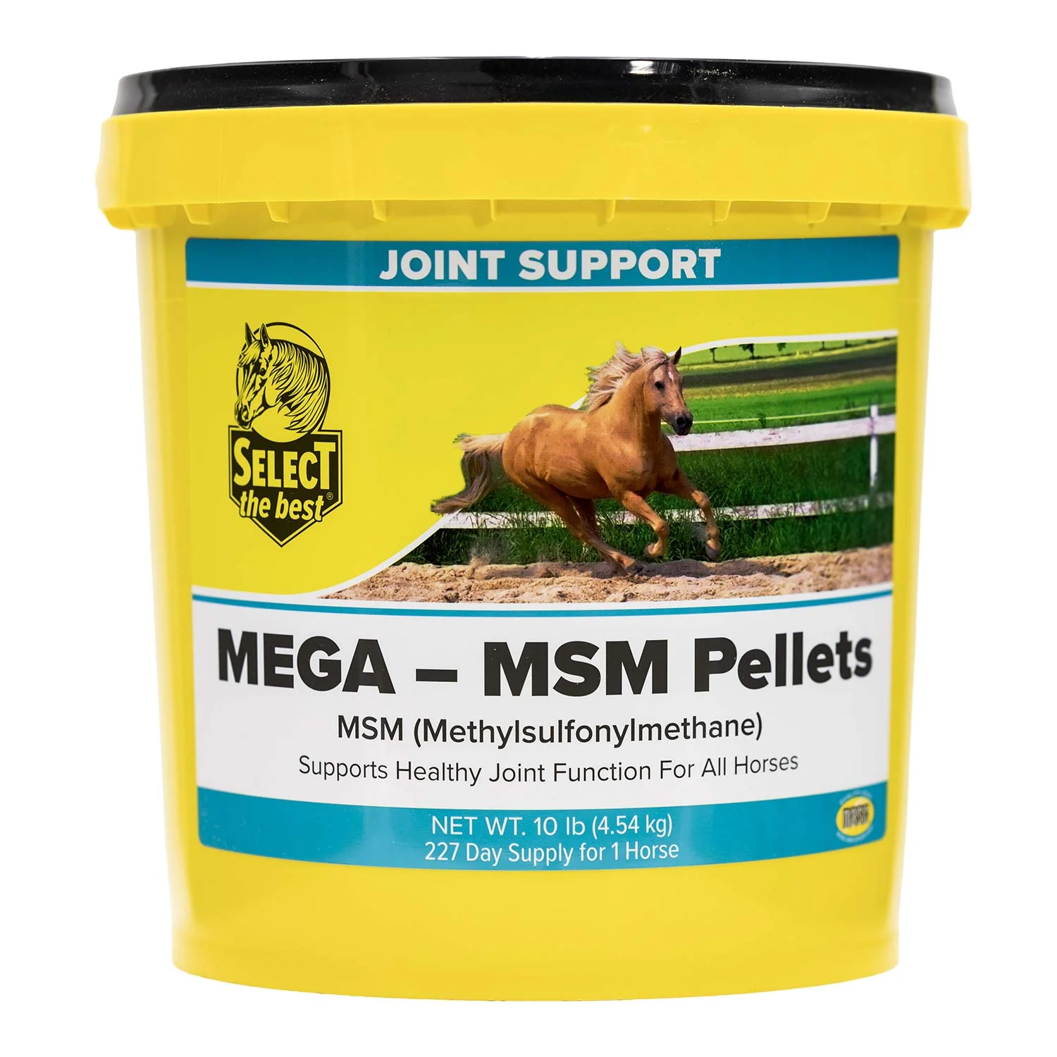 Mega-MSM Pellets Joint Supplement for Horses – 10,000 mg MSM with Stabilized Rice Bran for Mobility & Flexibility - Image 2