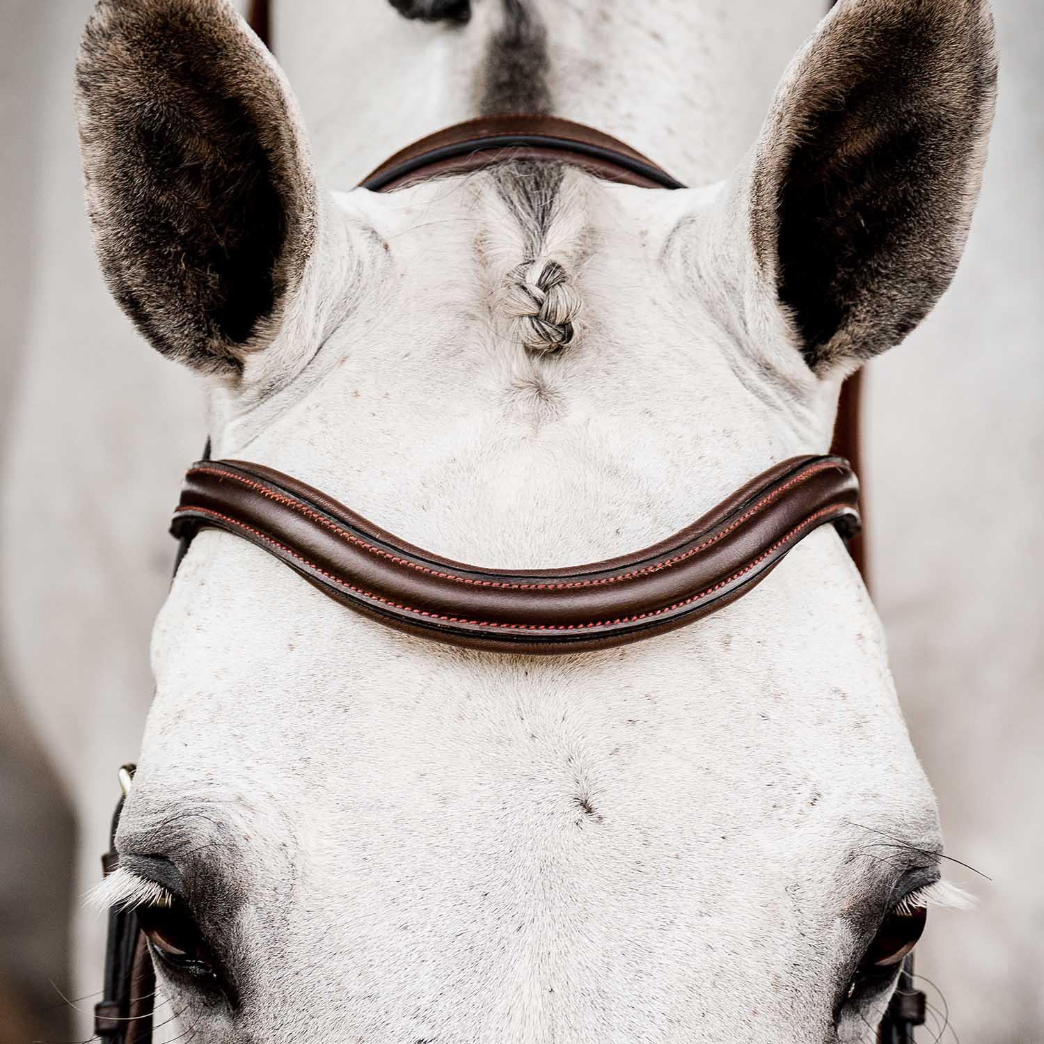 Micklem 2.0 Deluxe Competition Bridle for Horses - Padded Leather, Reins Included, Dressage & Show Bridle - Image 3