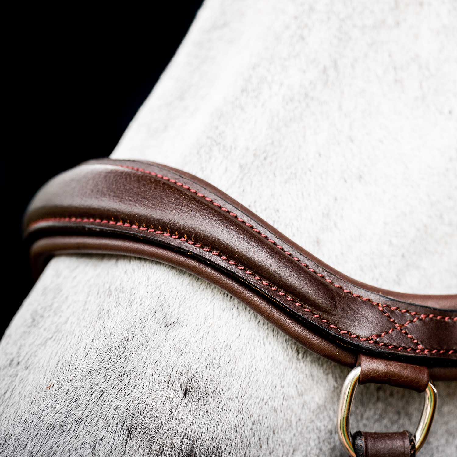 Micklem 2.0 Deluxe Competition Bridle for Horses - Padded Leather, Reins Included, Dressage & Show Bridle - Image 4