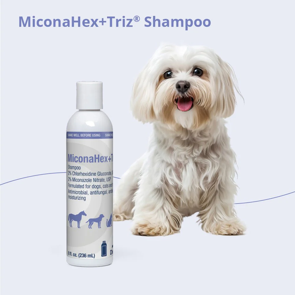 MiconaHex+Triz Medicated Antifungal & Antibacterial Shampoo for Dogs, Cats & Horses - Image 4