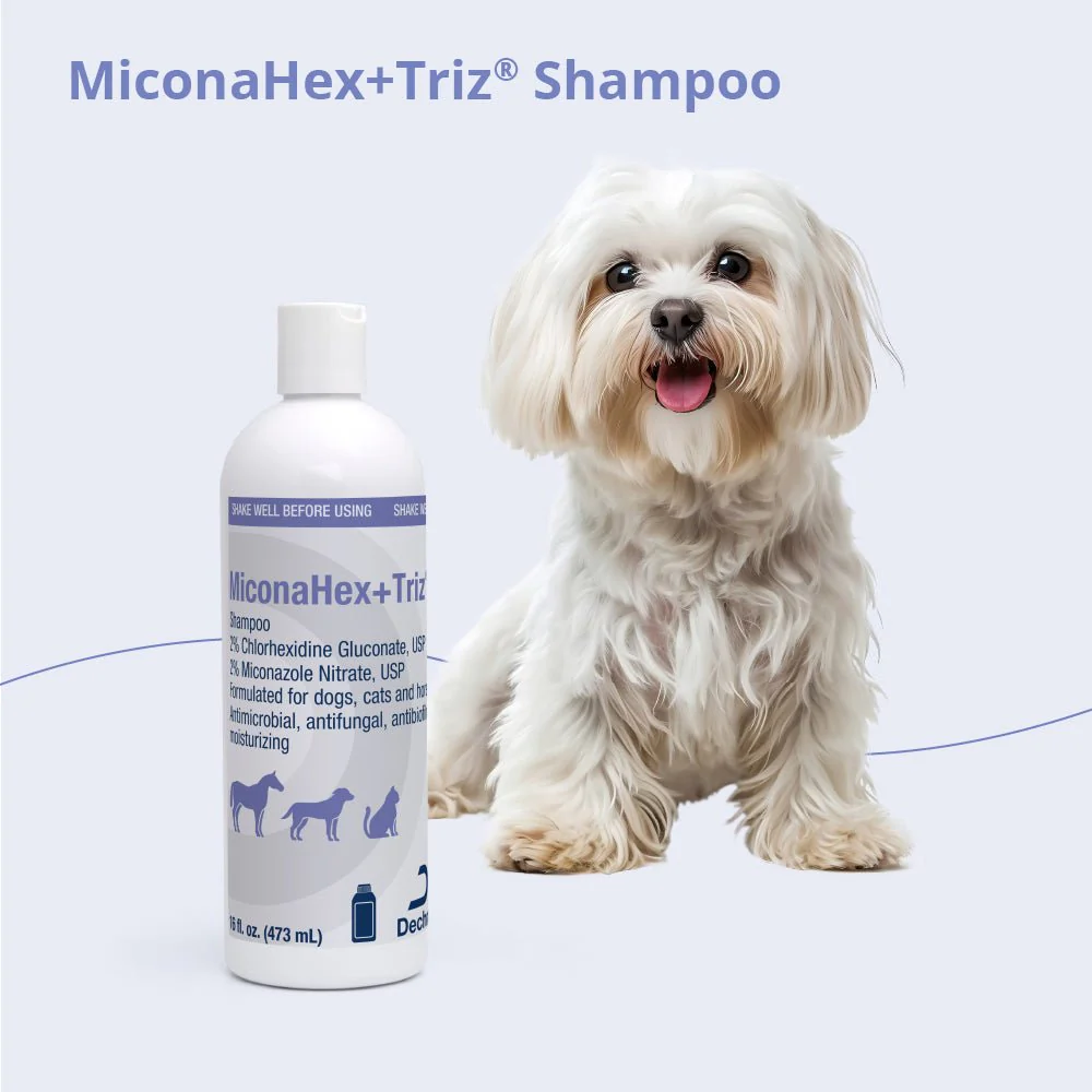 MiconaHex+Triz Medicated Antifungal & Antibacterial Shampoo for Dogs, Cats & Horses - Image 9