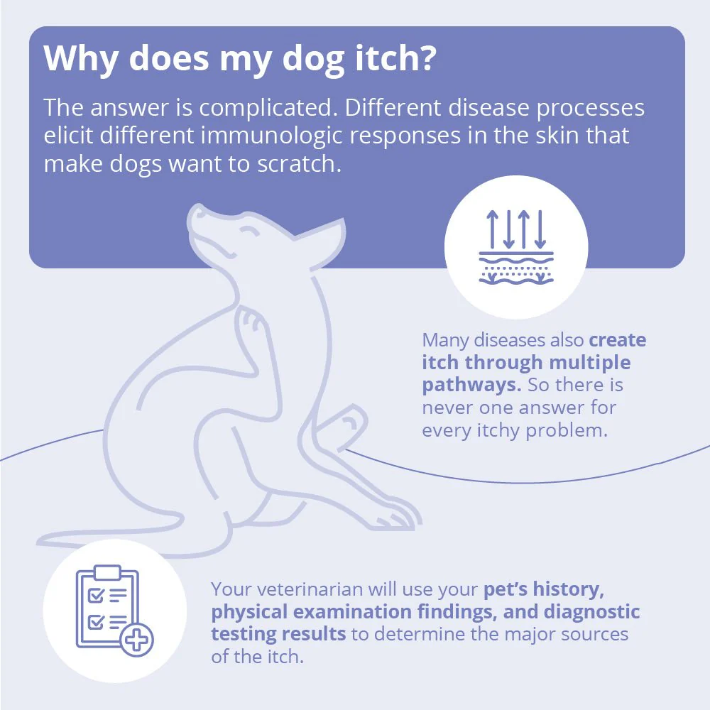Miconahex+Triz Medicated Antimicrobial Spray Conditioner for Dogs, Cats, and Horses - Image 3