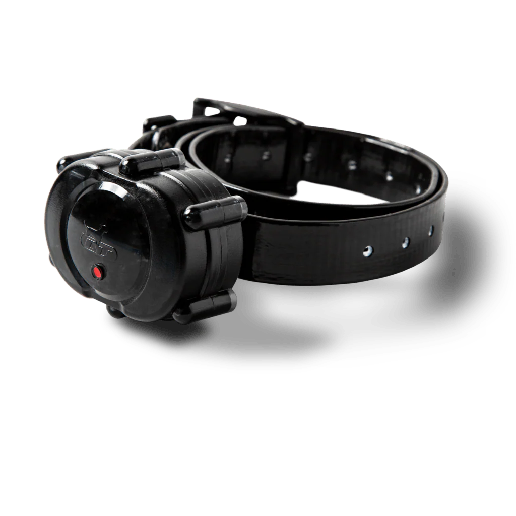 Micro iDT Plus Rechargeable Dog Training Collar - Image 3