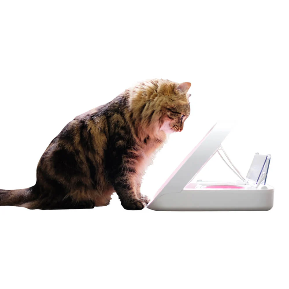 Microchip Pet Feeder - Image 3