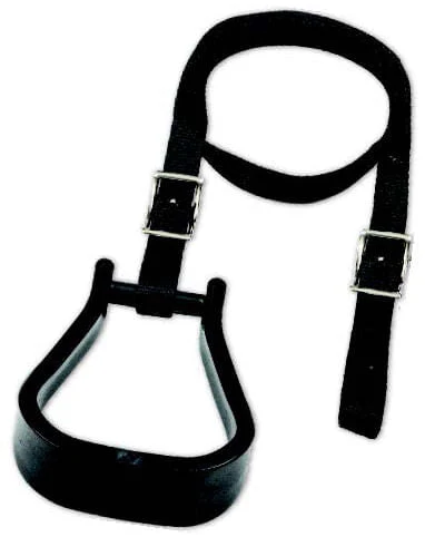 Mustang's Mounting Stirrup