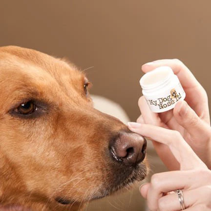 My Dog Nose It Doggy Sunscreen - Image 5