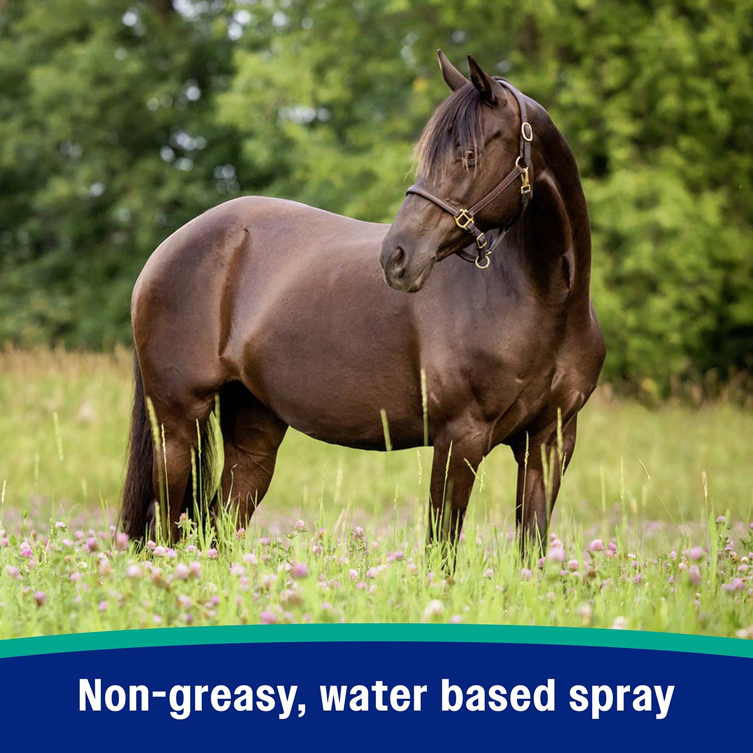 Nature's Defense Fly Repellent Spray - Image 7