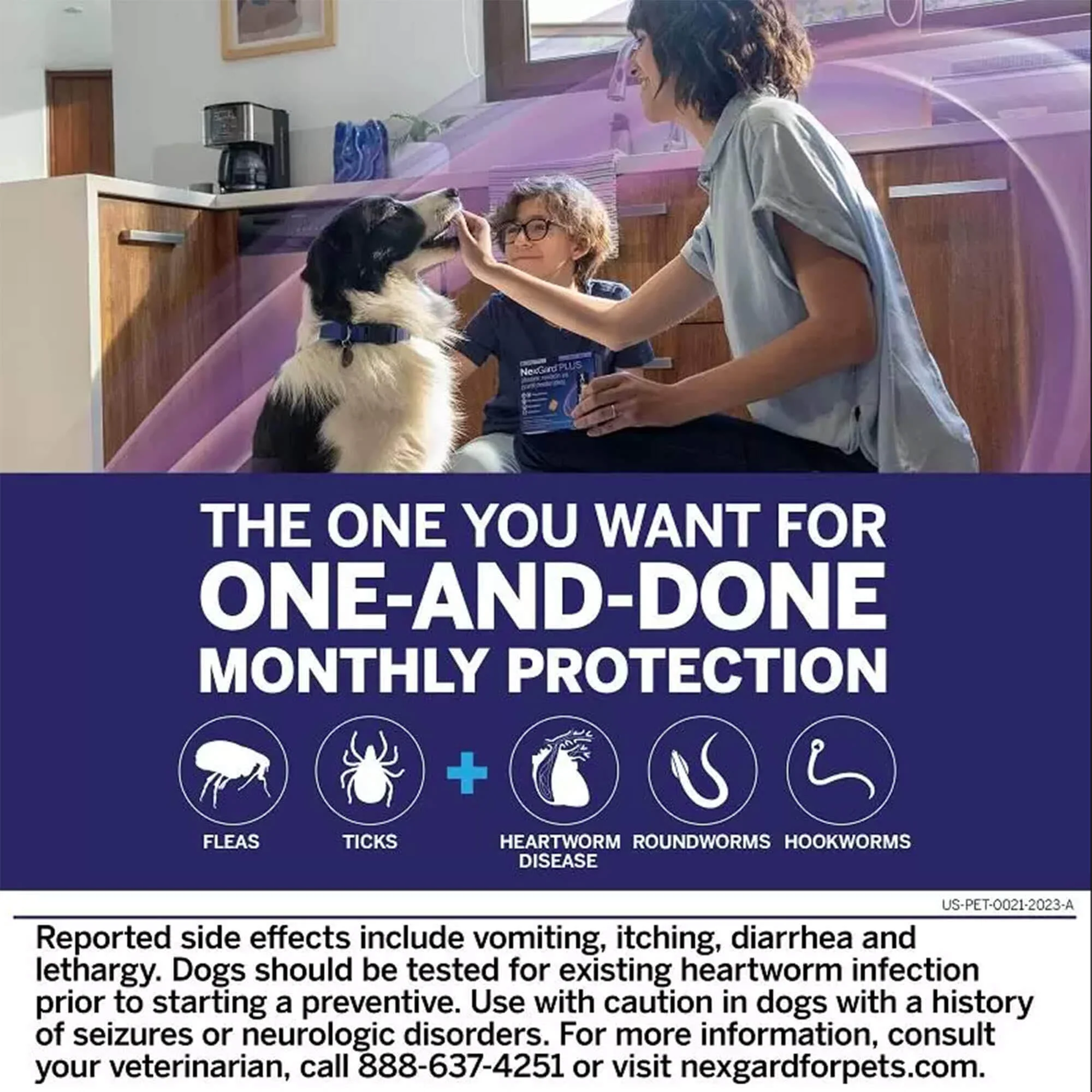 Rx NexGard Plus Chewable Flea & Tick Tablets for Dogs - Image 5