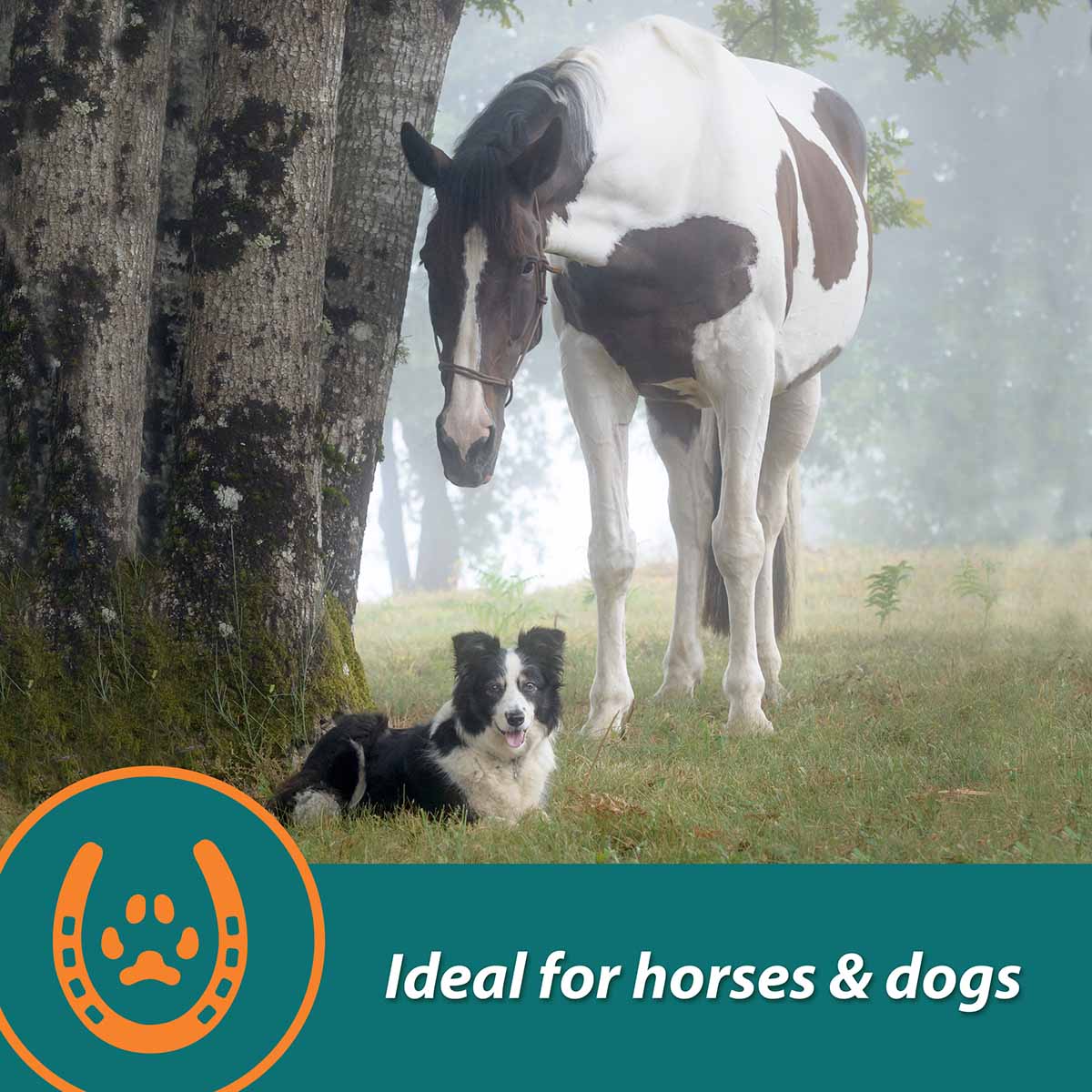 Next Level Joint Pellets for Horses, 1.87 lbs - Image 6