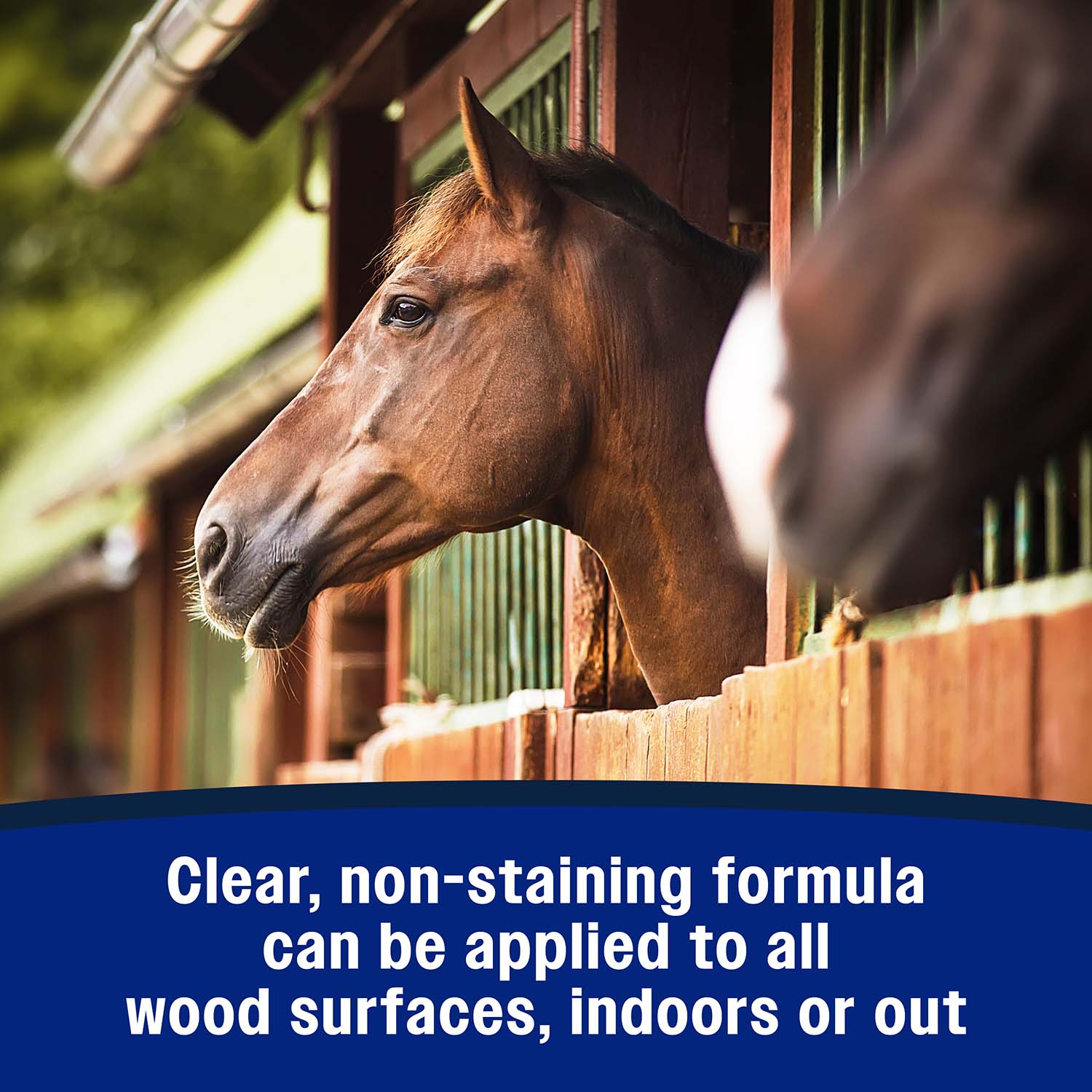 Farnam No Chew Chewing/Cribbing Deterrent, 32 oz Spray - Image 5