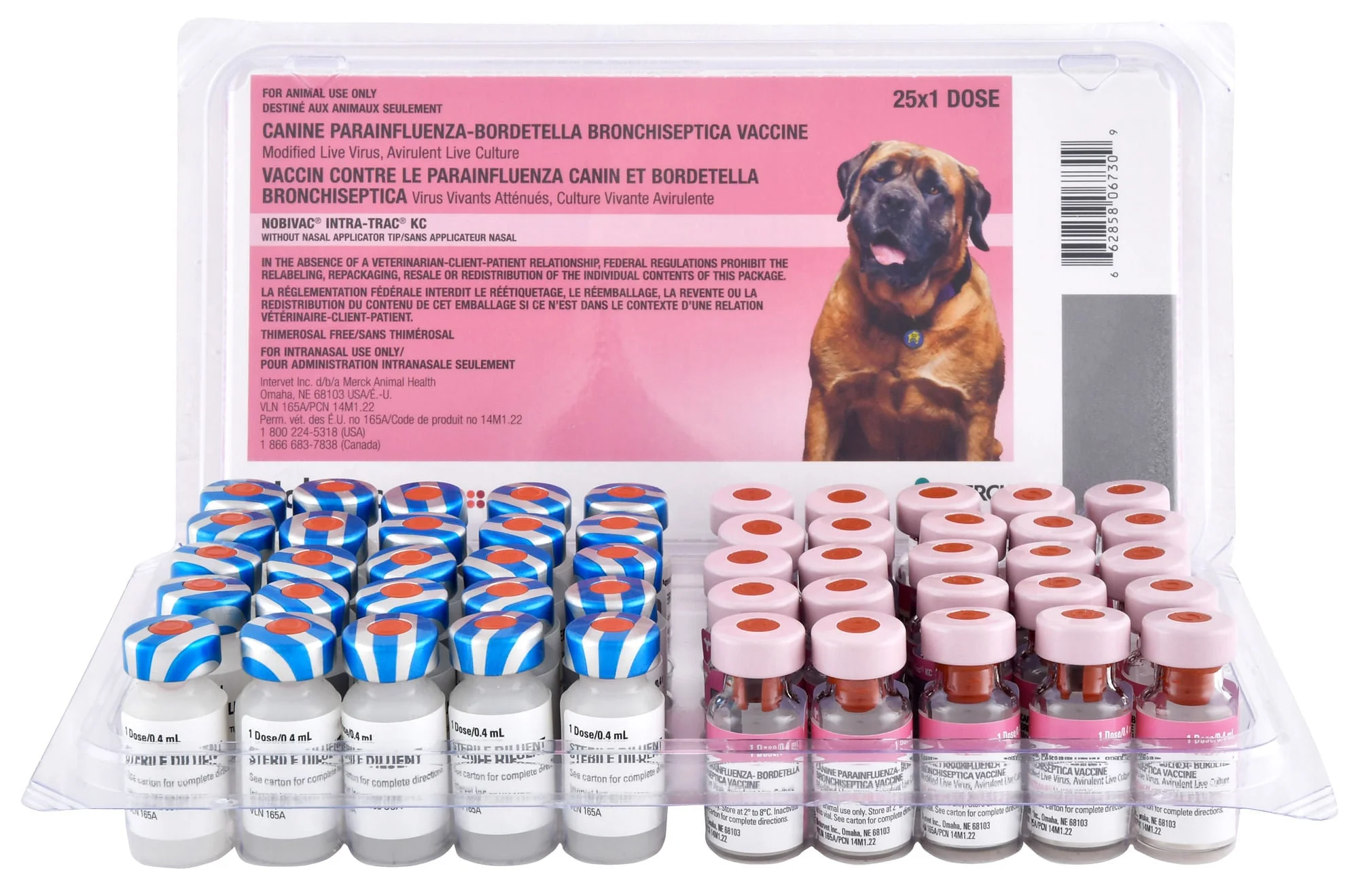 Nobivac Intra-Trac KC Dog Vaccine - Image 2