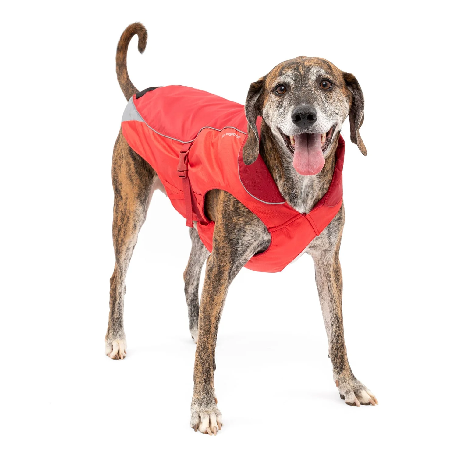 Kurgo North Country Coat for Dogs - Image 24