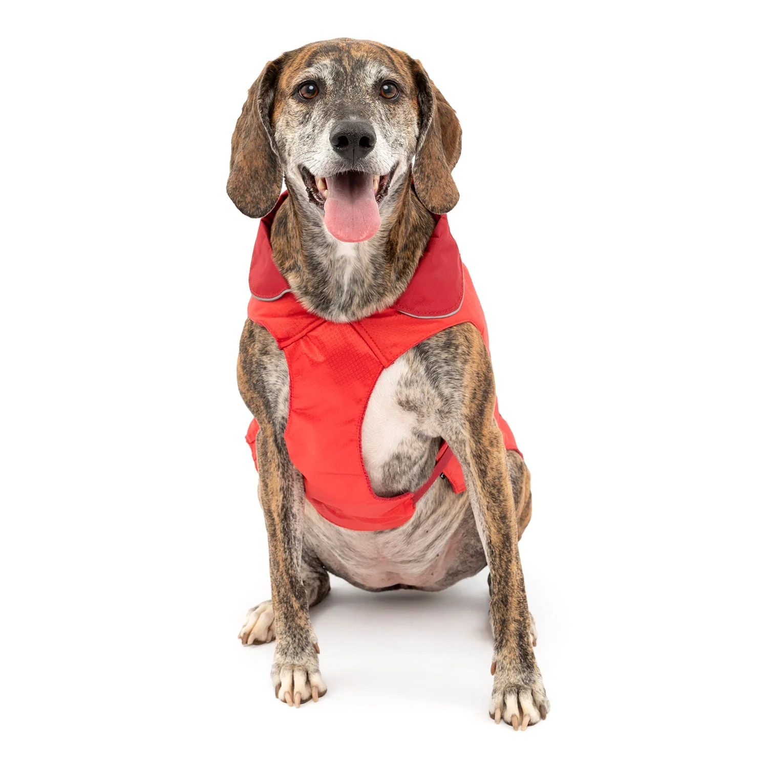 Kurgo North Country Coat for Dogs - Image 25
