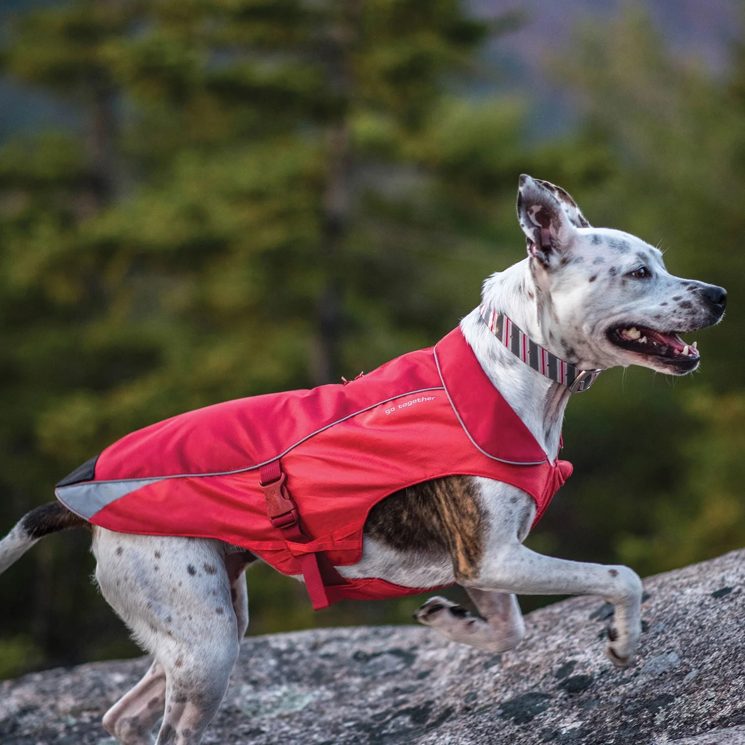 Kurgo North Country Coat for Dogs - Image 30
