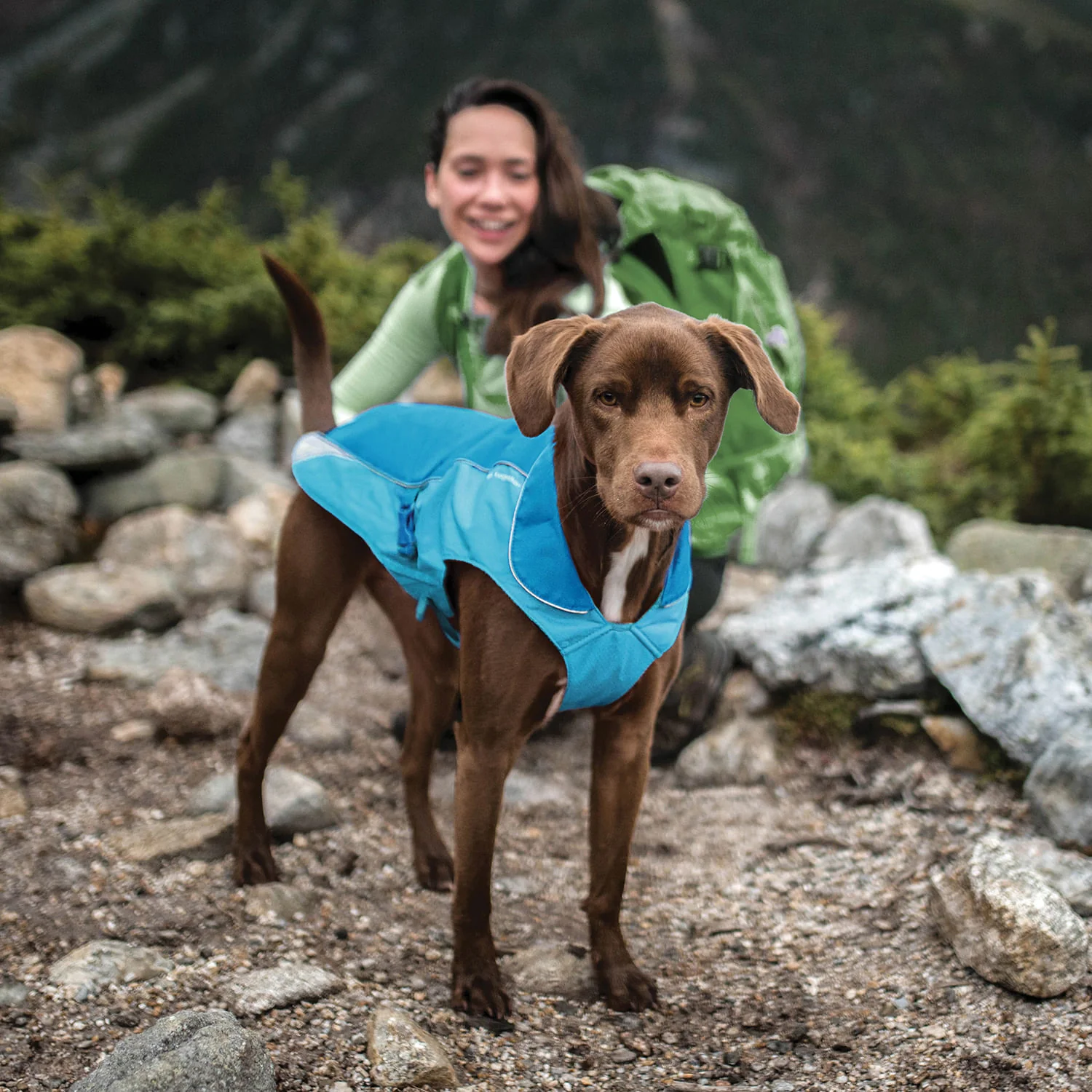 Kurgo North Country Coat for Dogs - Image 31