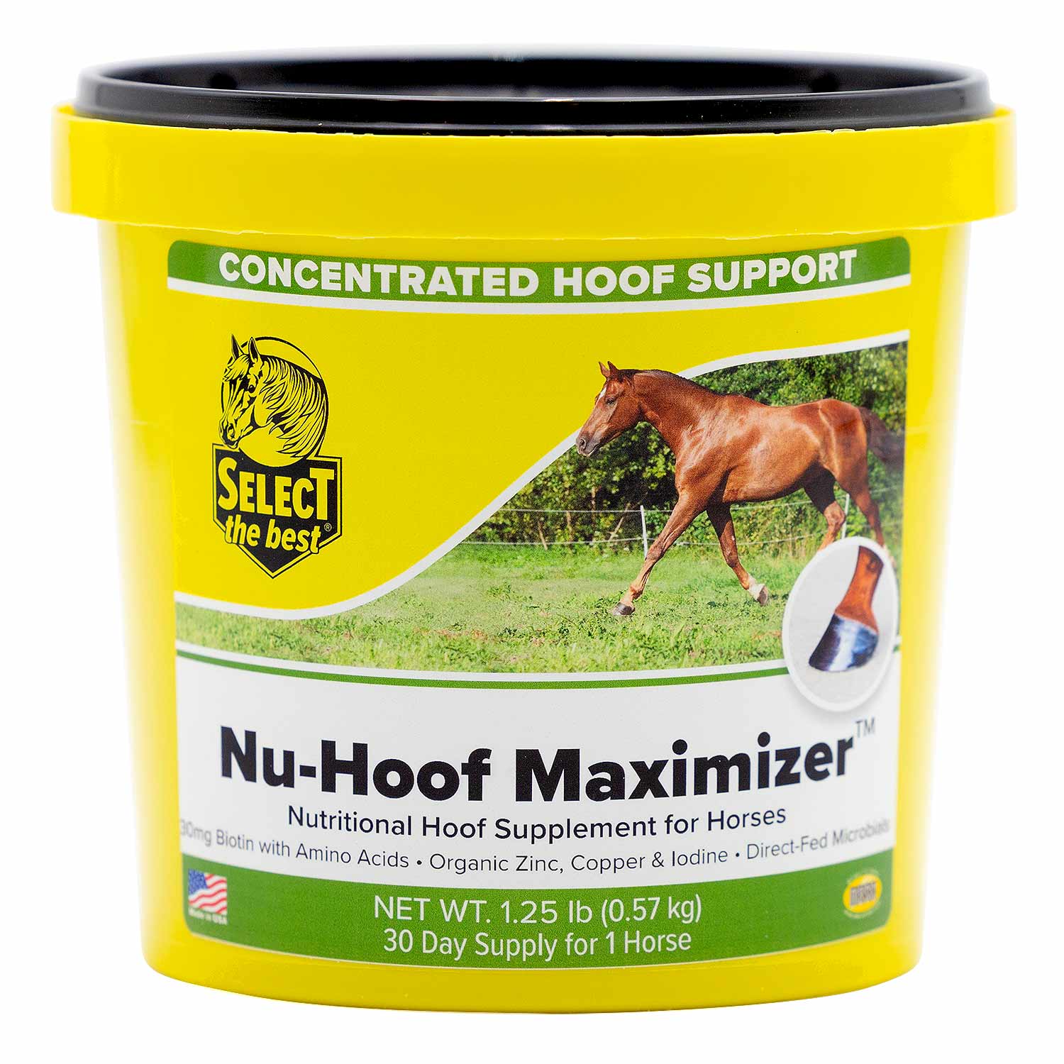 Nu-Hoof Maximizer Concentrated Hoof Supplement for Horses – Biotin & Amino Acid Formula - Image 2