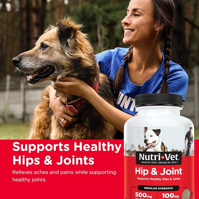 Nutri-Vet Hip & Joint Regular Strength Chewables for Dogs - Image 9