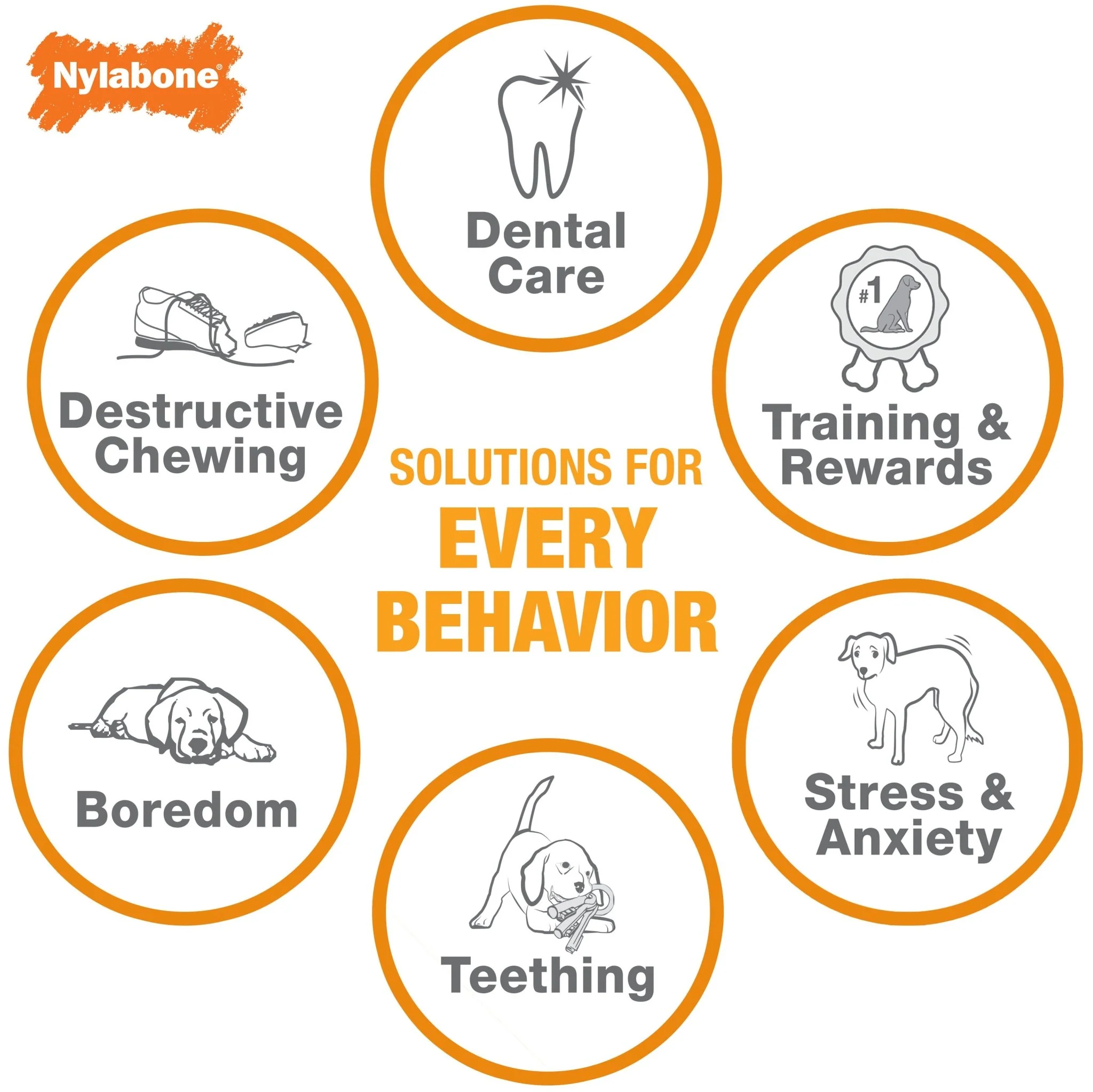 Nylabone Dental Dino, Regular - Image 6