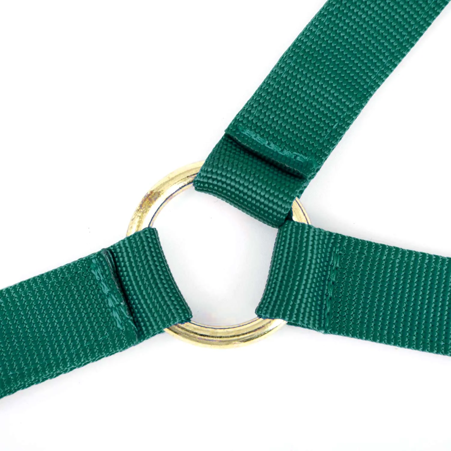Jeffers Nylon Cow Halter - Image 22