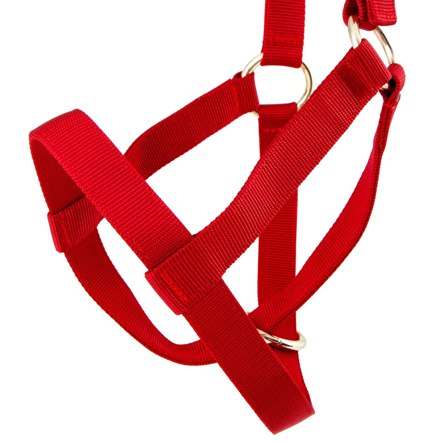 Jeffers Nylon Cow Halter - Image 4