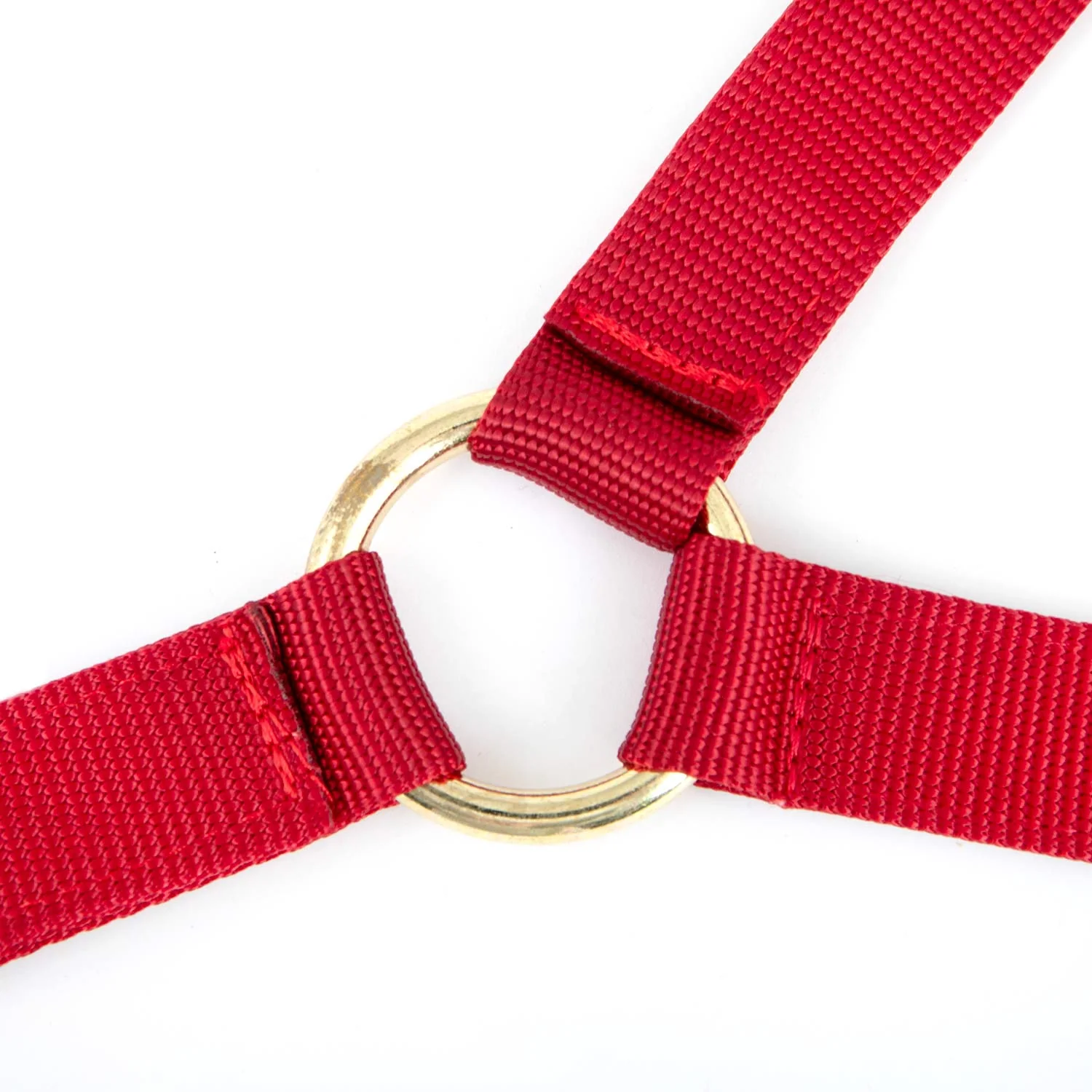 Jeffers Nylon Cow Halter - Image 5