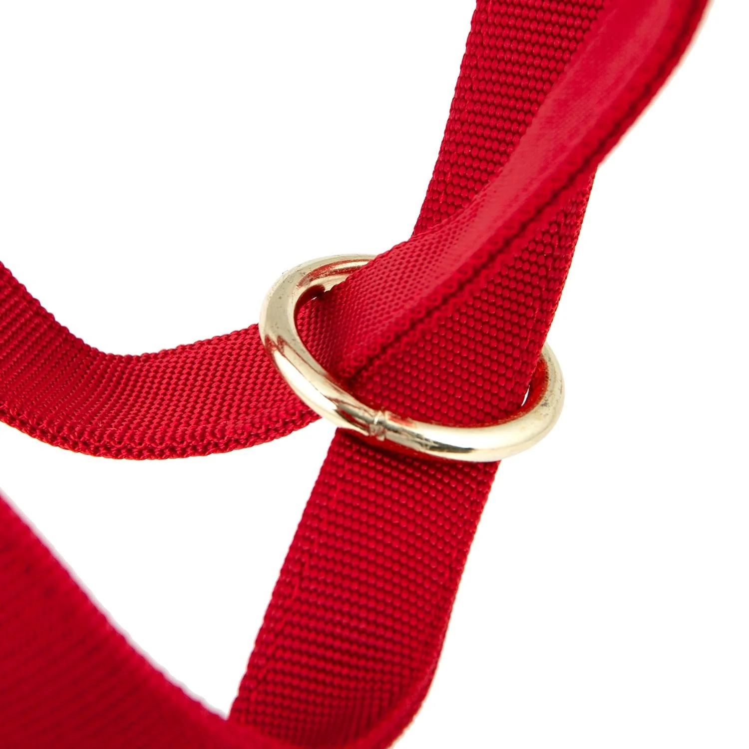 Jeffers Nylon Cow Halter - Image 6