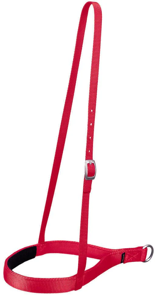 Weaver Nylon Noseband, Regular - Image 13