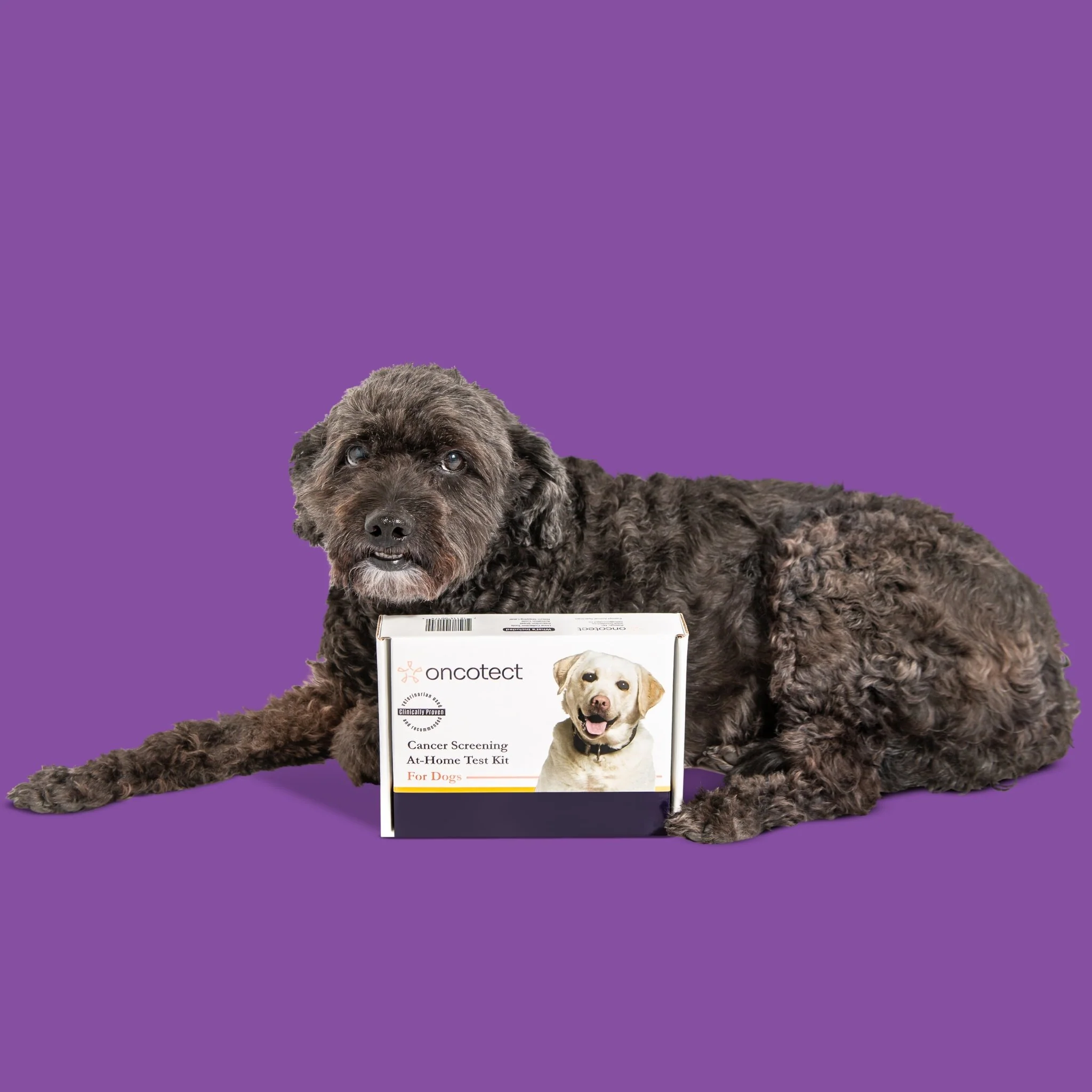Oncotect Essential At-Home Dog Cancer Screening Test Kit - Image 7