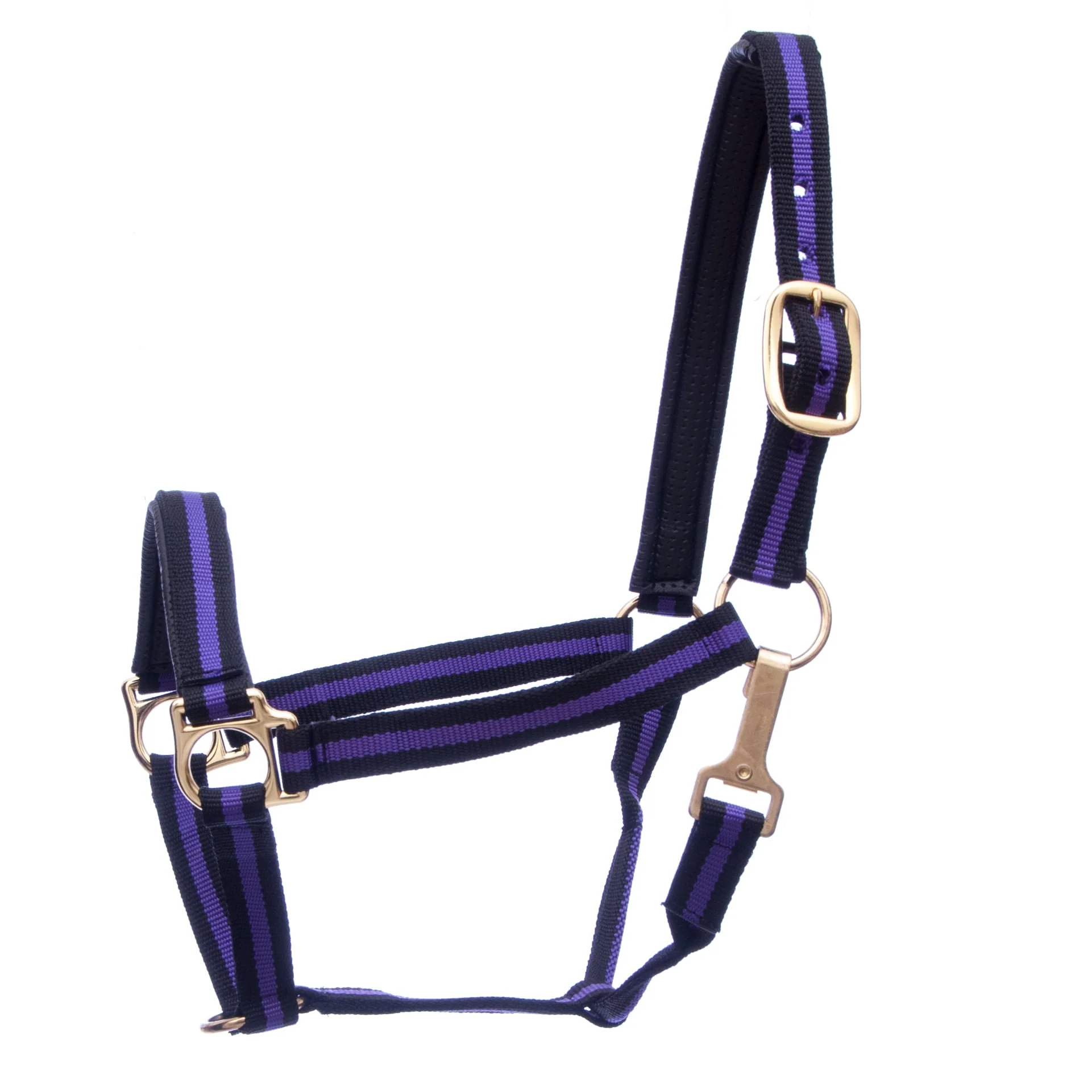 Jeffers Padded Nylon Horse Halter with Throat Snap - Image 4