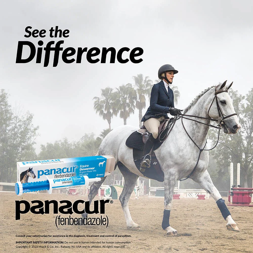 Panacur Equine Fenbendazole Dewormer Paste, 25 g - Image 2