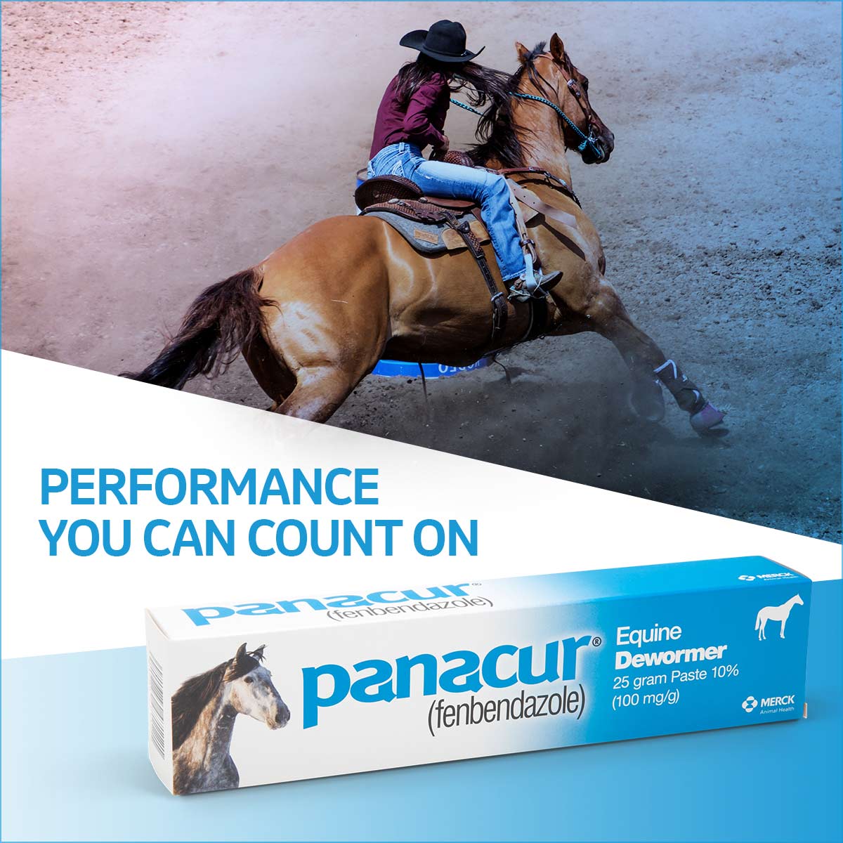 Panacur Equine Fenbendazole Dewormer Paste, 25 g - Image 5