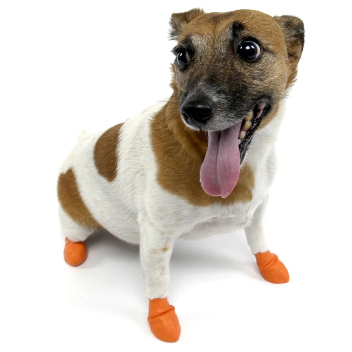PawZ Waterproof Dog Boots – Disposable, Reusable, Non-Slip Paw Protectors, 12 Pack - Image 5