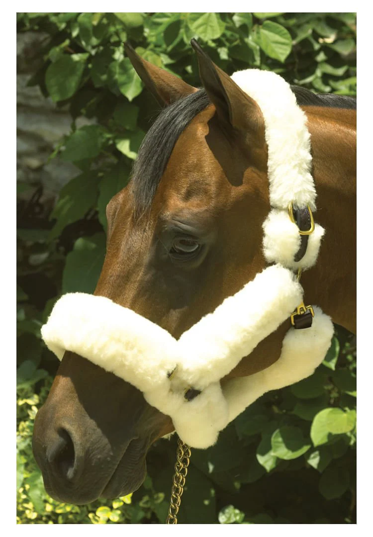 Perri's Genuine Sheepskin Shipping Halter, Havana/Natural - Image 3