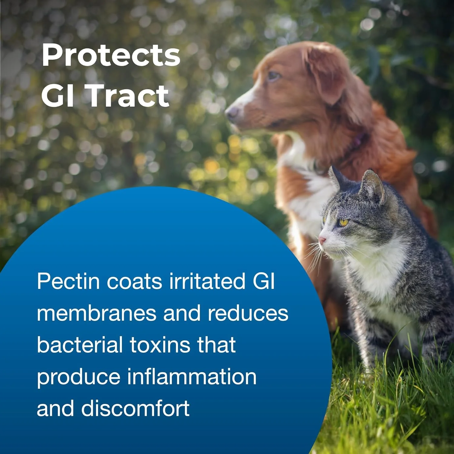 PET Pectillin, 4 oz – Diarrhea Relief for Cats and Dogs with Pectin & Kaolin - Image 3