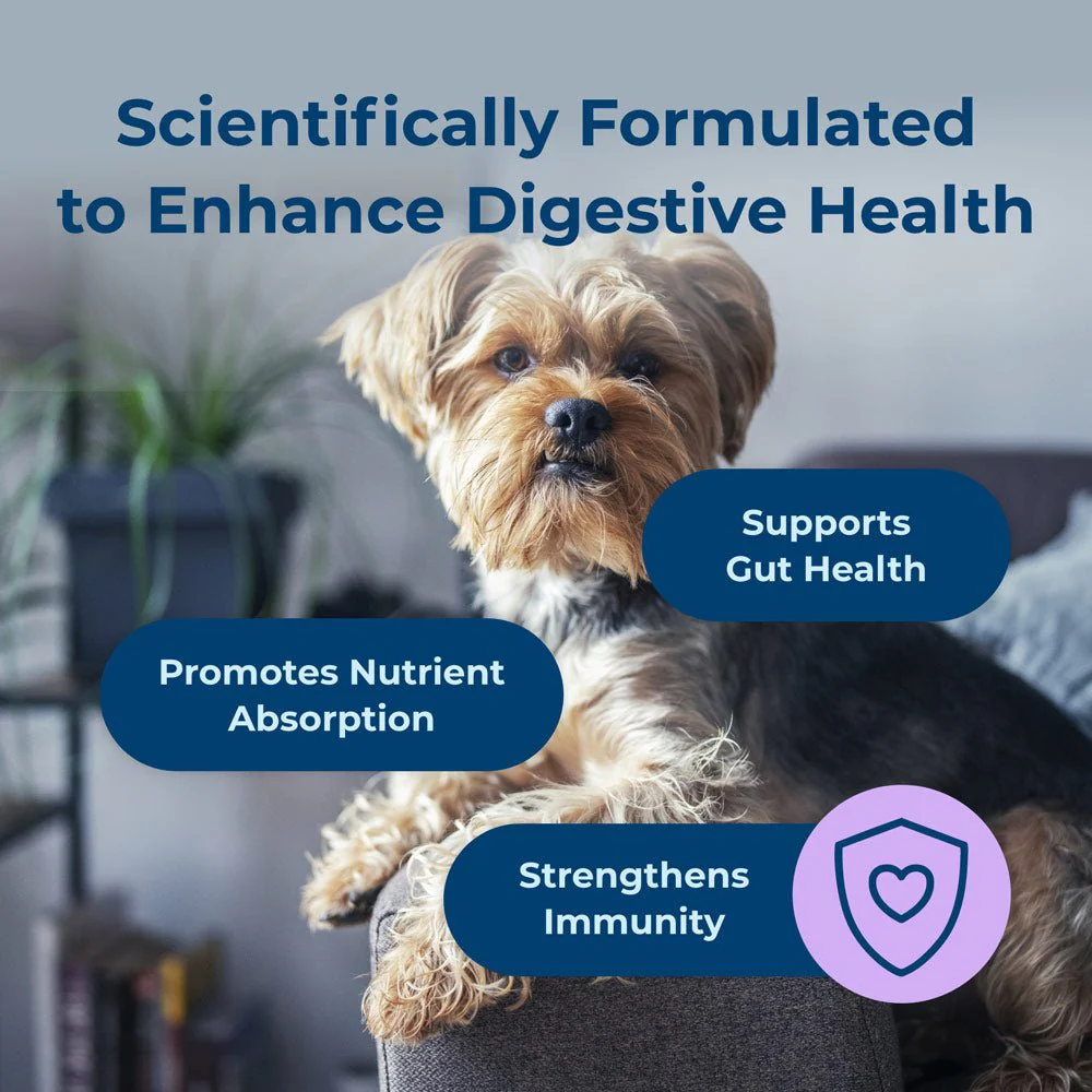 PetAg Dyne Digestion & Immune Support Soft Chews with Probiotics for Dogs, 60 ct - Image 5