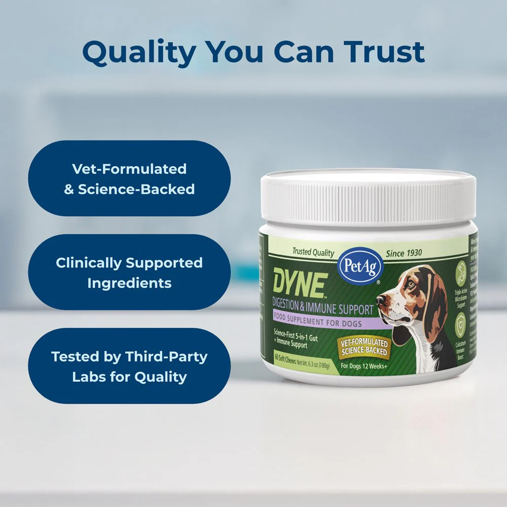 PetAg Dyne Digestion & Immune Support Soft Chews with Probiotics for Dogs, 60 ct - Image 7