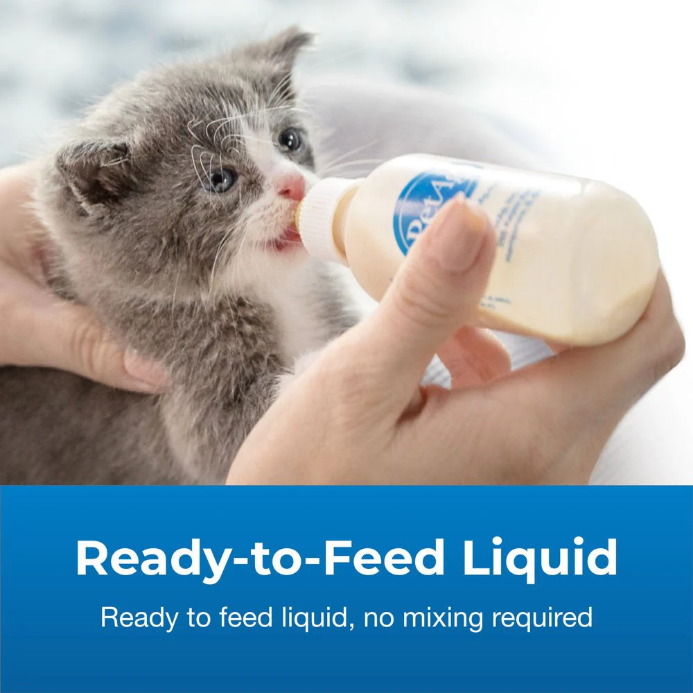 PetAg Goats Milk KMR Liquid Kitten Milk Replacer Ready-to-Feed Formula, 16 oz - Image 5