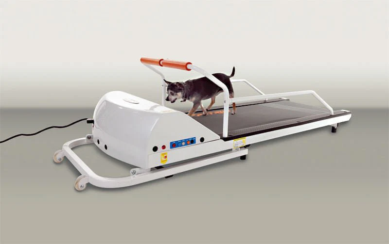 PetRun Small Breed Treadmill (PR710F)