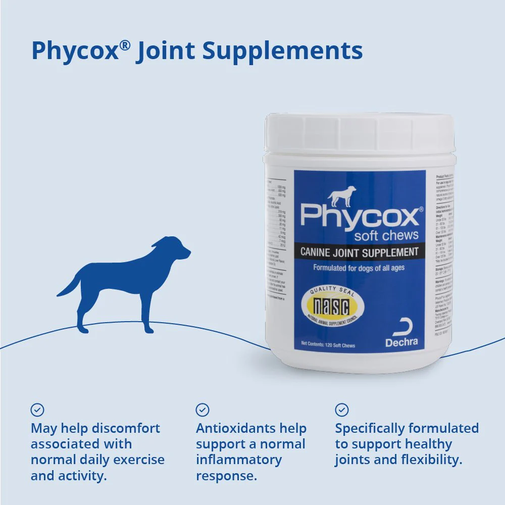 Phycox Canine Joint Support Soft Chews for Dogs - Image 4