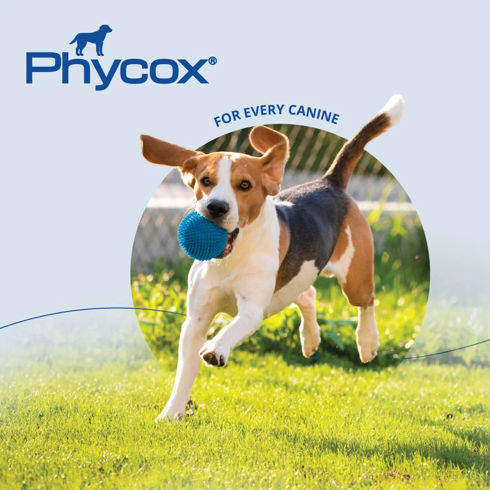 Phycox Canine Joint Support Soft Chews for Dogs - Image 5