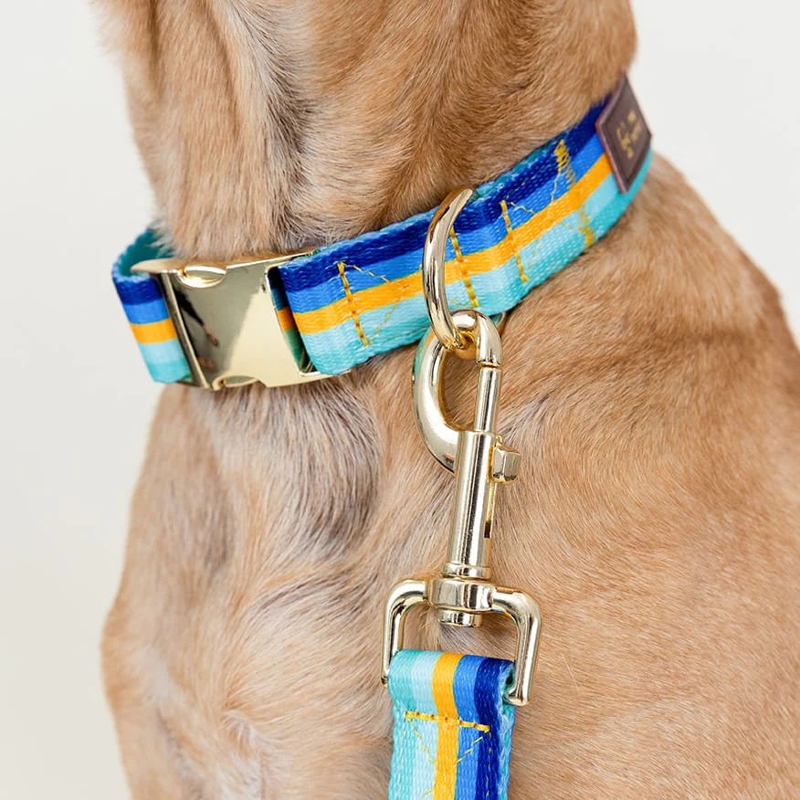 Pink Papyrus Designer Synthetic Fabric Adjustable Dog Collars - Image 13