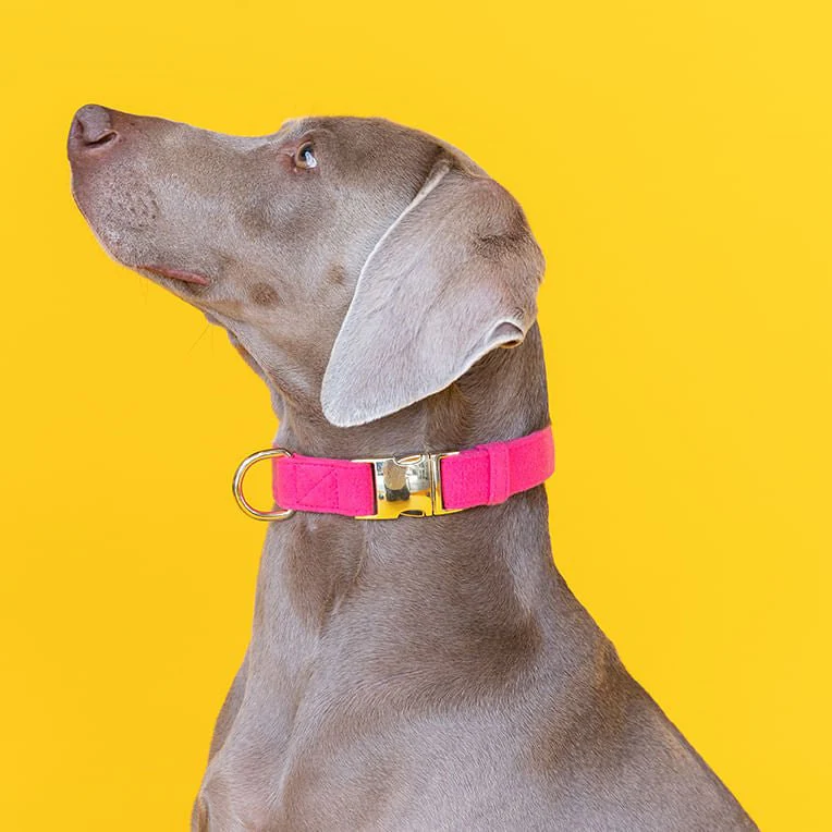 Pink Papyrus Designer Synthetic Fabric Adjustable Dog Collars - Image 8
