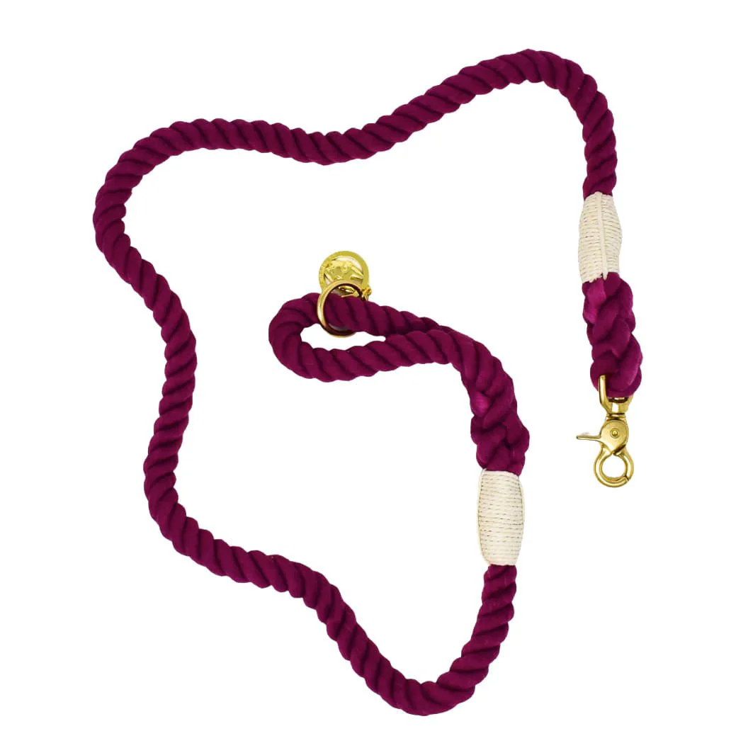 Pink Papyrus Rope Leash, 6 ft - Image 2