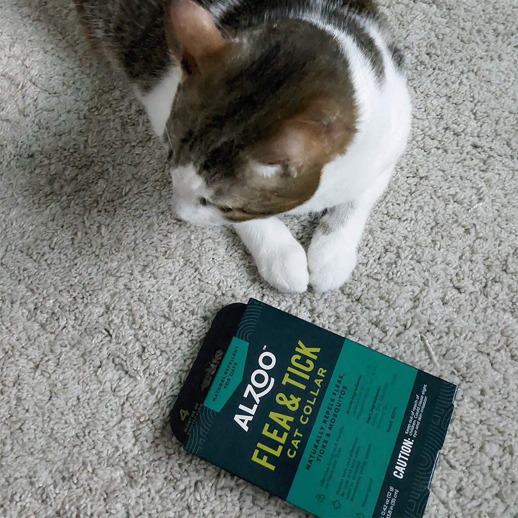 Plant-Based Natural Flea & Tick Cat Collar - Image 6