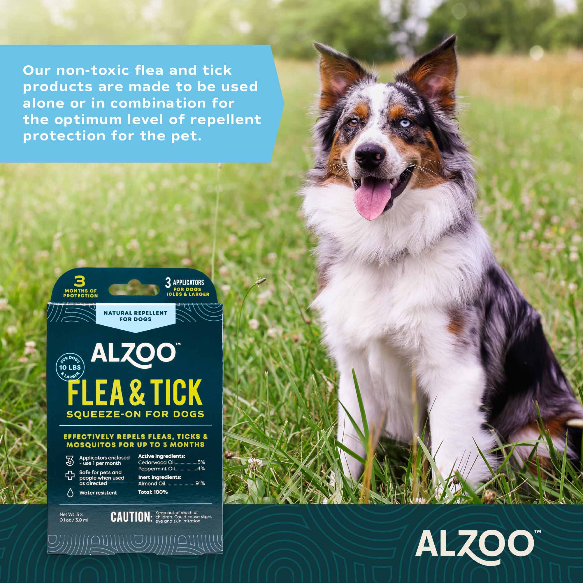Natural Plant-Based Flea & Tick Squeeze-On Topical for Dogs - Image 5