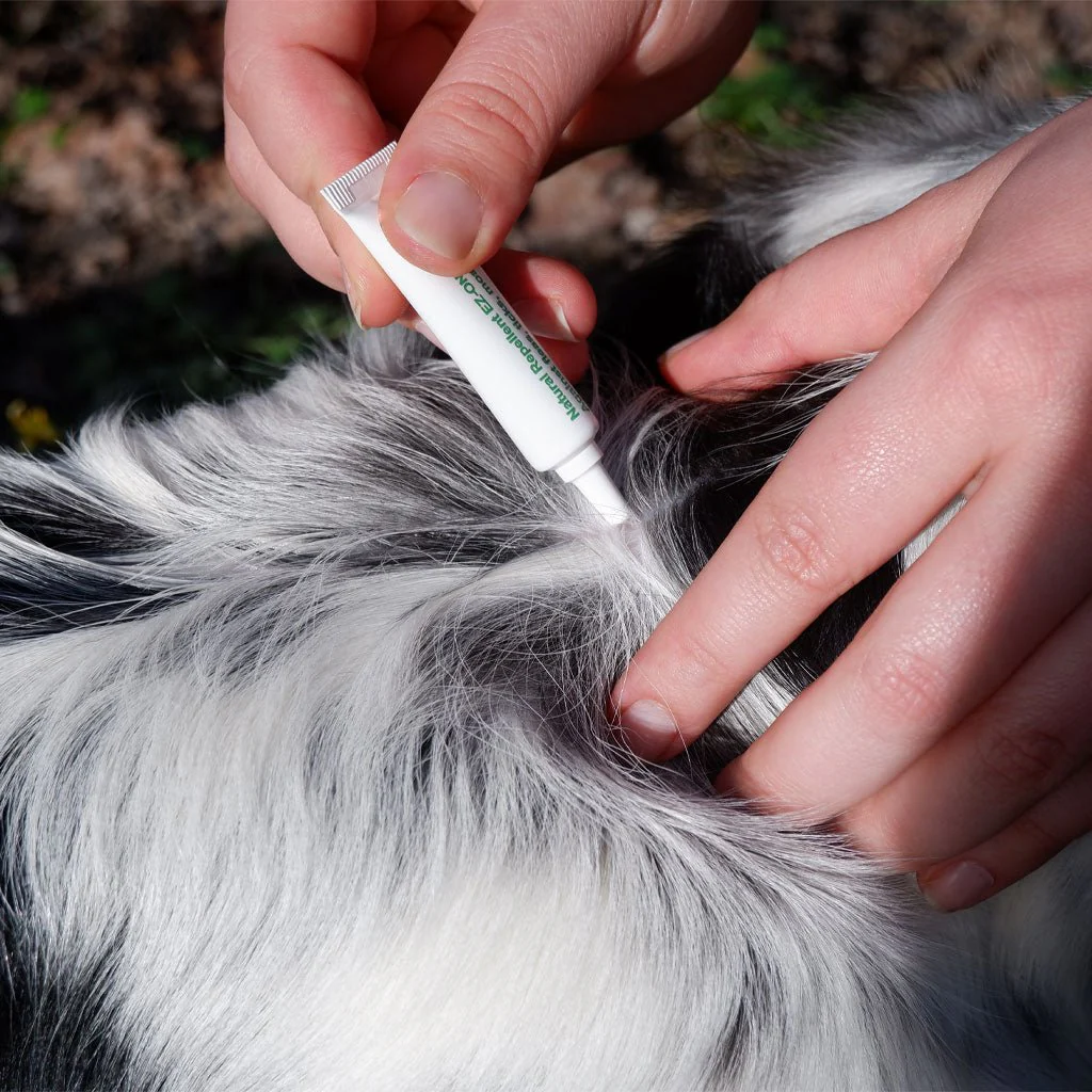 Natural Plant-Based Flea & Tick Squeeze-On Topical for Dogs - Image 8